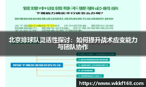 球速体育官方网站