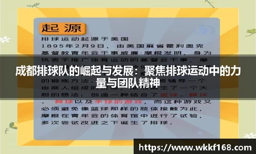 球速体育官方网站